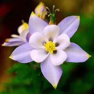 Meet your Posher, Brynn